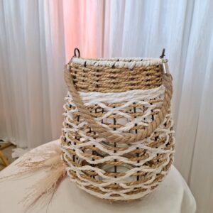 Korblaterne braun-weiß